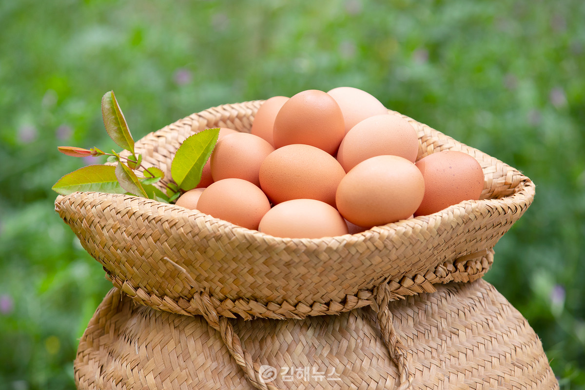 표면이 매끈하고 껍데기 색이 고른 달걀의 신선도가 높다.(사진=이미지투데이)