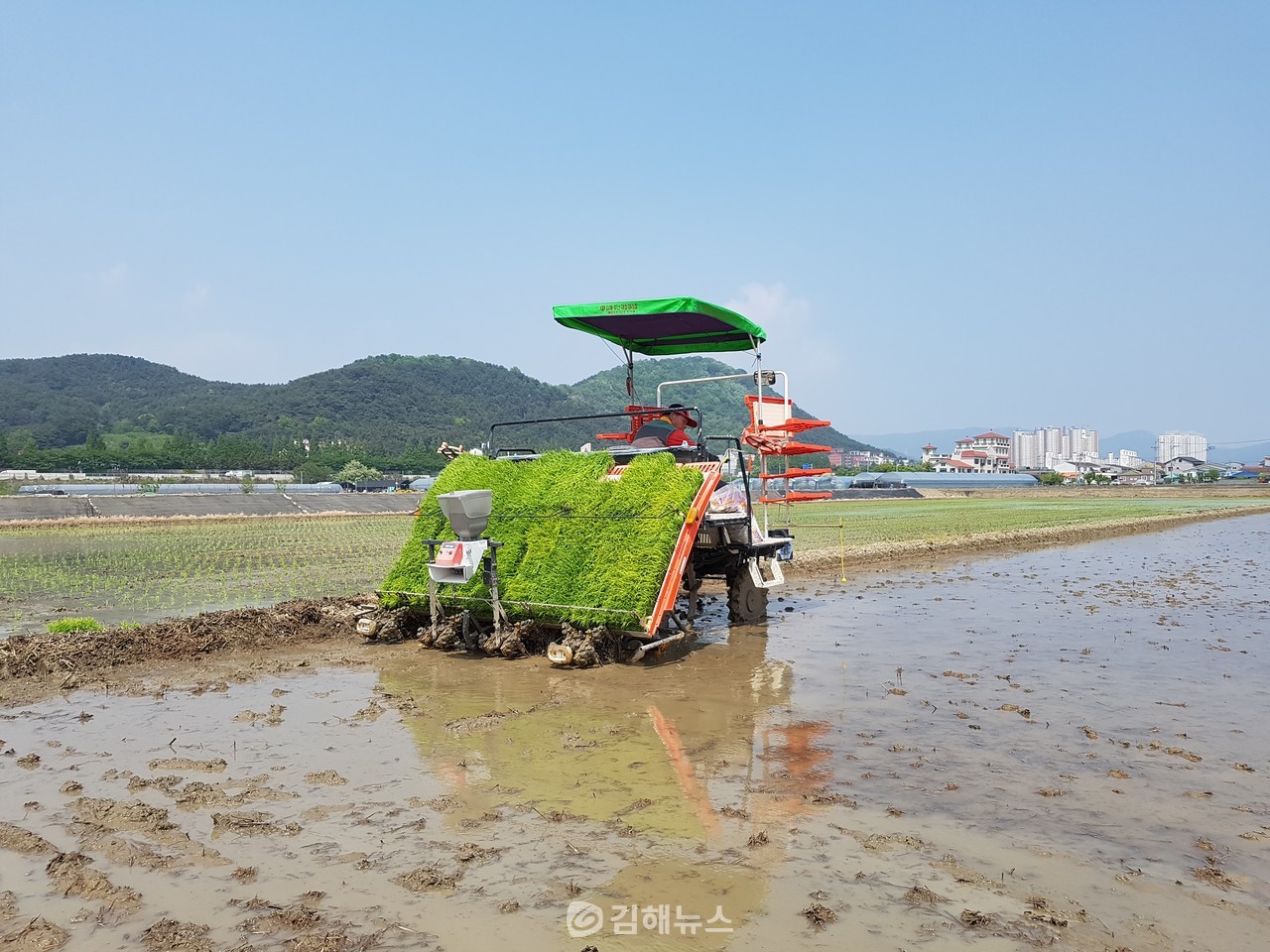 김해시가 2024년 쌀 경쟁력 제고사업 접수는 이달 말까지 읍면동 행정복지센터를 통해 접수한다. 