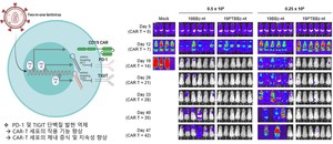 az-news-ai.blogspot.com - 기적의 항암제 